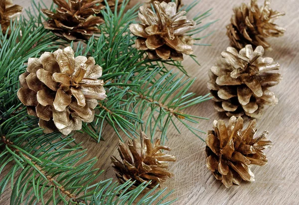 Branches Fir Golden Cones New Year Background Stock Picture
