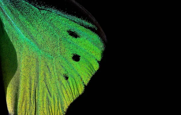 Kanat Bir Tropikal Kelebek Doku Arka Plan — Stok fotoğraf