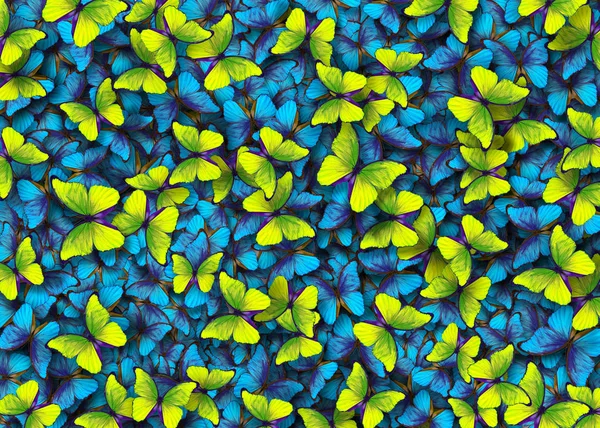 蝶モルフォ モルフォ蝶の翼 明るい青と黄色の飛行蝶抽象的な背景 — ストック写真