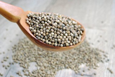 Asfalt yolda çatlak var. Asfaltta bir çatlak ve güzel bir çiçek. Boşlukları kopyala.