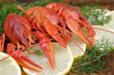 Kerevit ve ahşap bir masa üzerinde limon