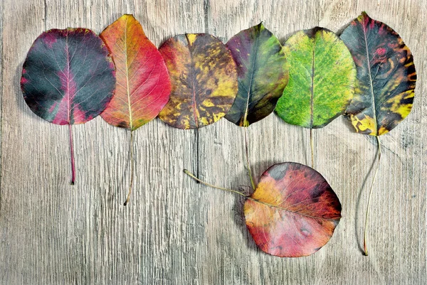 Herfstbladeren Houten Tafel Achtergrond Bovenaanzicht Kopie Ruimten — Stockfoto