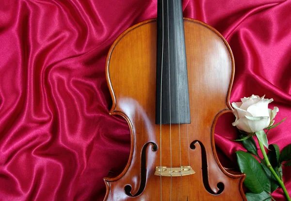 Violino Rosa Bianca Fondo Seta Biglietto Romantico Giorno Valentino Copia — Foto Stock