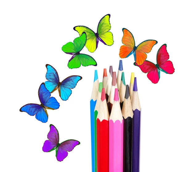 Farben Des Regenbogens Buntstifte Und Bunte Morpho Schmetterlinge Farbkonzept Leerzeichen — Stockfoto