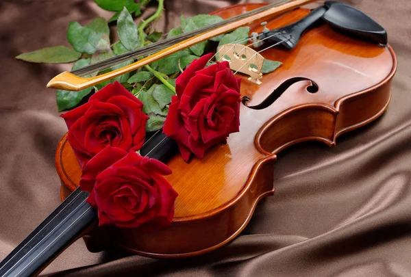 Violin Red Roses Silk Background Close — Stock Photo, Image