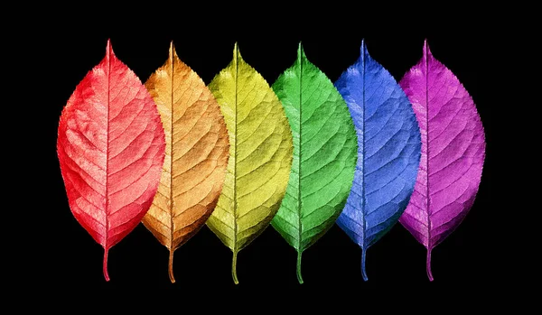 Χρώματα Του Ουράνιου Τόξου Μοτίβο Της Πολύχρωμα Φύλλα Υφή Φόντου — Φωτογραφία Αρχείου