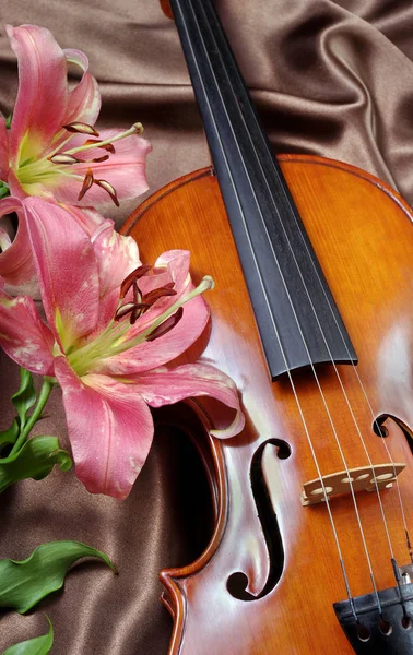 Violín Lirio Sobre Fondo Seda — Foto de Stock