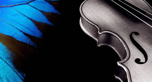 Violin Wings Butterfly Black Copy Spaces — Stock Photo, Image