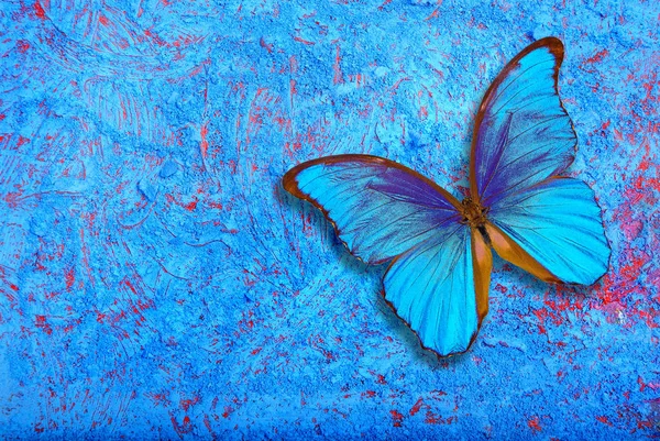 Azul Moblue Mariposa Morfo Sobre Fondo Azul Pastel Mariposa Rpho — Foto de Stock