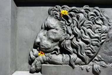 Bas-relief of a lion. lion in architecture.Element of the monument design in Poltava, Ukraine  clipart