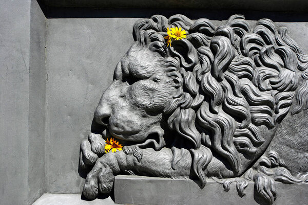 Bas-relief of a lion. lion in architecture.Element of the monument design in Poltava, Ukraine 