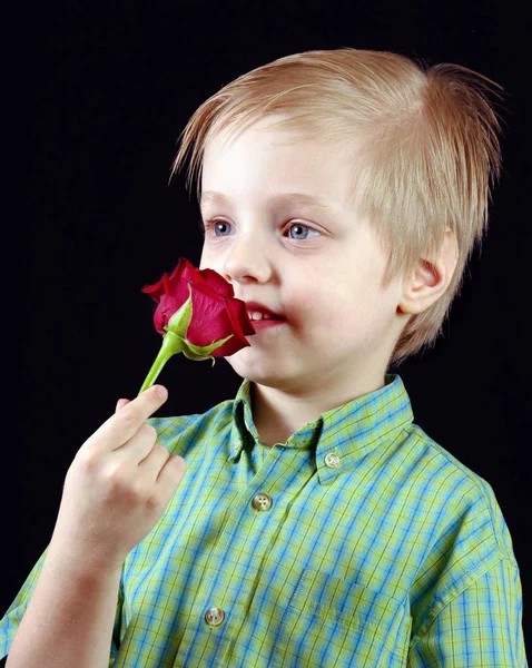 Flor Cheirando Criança Menino Com Rosa Vermelha Preto — Fotografia de Stock