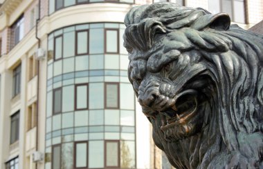 Bronz aslan başkanı. Poltava, Ukrayna Anıtı kükreyen aslan bronz heykel