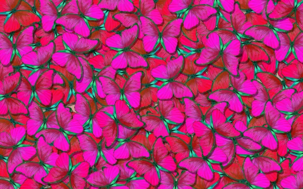 Les Ailes Papillon Morpho Vol Papillons Violet Vif Fond Abstrait — Photo