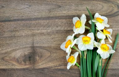 tahta bir masada narsist buket. üst görünüm. boşlukları kopyalayın. ilk bahar çiçekleri