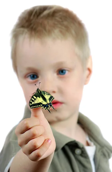 Farfalla Seduta Sulla Mano Bambino Bambino Con Una Farfalla Focus — Foto Stock