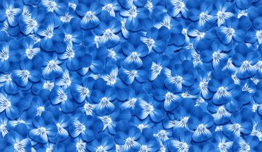 mavitleri. çiçek mavisi arka plan. çiçek pansies soyut desen.