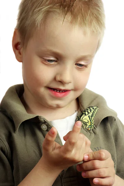 Śmiech Dziecko Motyl Siedzi Dłoni Dziecka Dziecko Motyla Selektywna Koncentracja — Zdjęcie stockowe