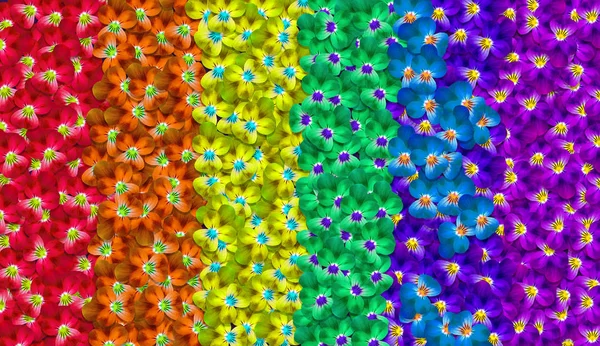 Farben Des Regenbogens Muster Von Bunten Blumen Textur Hintergrund Veilchenblüten — Stockfoto