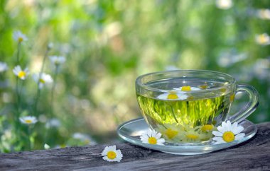 ahşap bir masada papatya çayı fincan. bitki çayı. soğuk algınlığı ve grip çaresi. kopyalama alanları