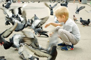 Çocuk güvercinleri besler. küçük çocuk kuşları besliyor. hayvan bakımı
