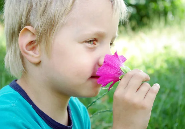 Dziecko Wąchania Kwiat Mały Chłopiec Kwiat — Zdjęcie stockowe