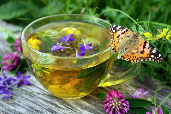 Cup Herbal Tea Medicinal Herbs Wooden Table Butterfly Painted Lady — Stock Photo, Image