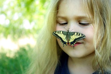 Kelebek bir çocuğun üzerinde oturuyor. Kelebekli çocuk. Kelebek machaon küçük bir kız üzerinde. Seçici odak. Kırlangıç kuyruğu kelebeği, Papilio maçaonu.