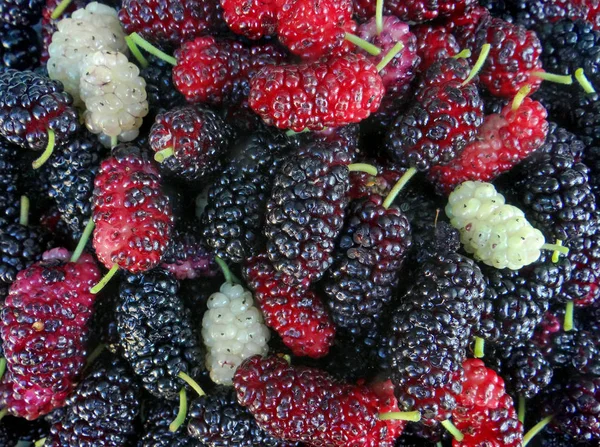 Closeup Texture Fresh Mulberries Fruits Natural Lighting — Stock Photo, Image