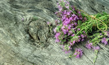 şifalı otlar. ahşap bir masada taze kekik. soğuk algınlığı ve grip çare