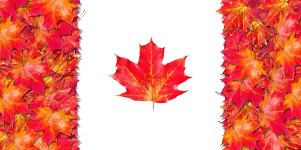 Vlag Van Canada Happy Canada Day Rode Esdoorn Bladeren Vorm — Stockfoto