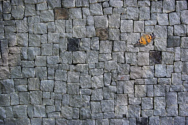 Pozadí Textury Kamenné Zdi Zdí Šedých Žulových Bloků Motýla Sedícího — Stock fotografie