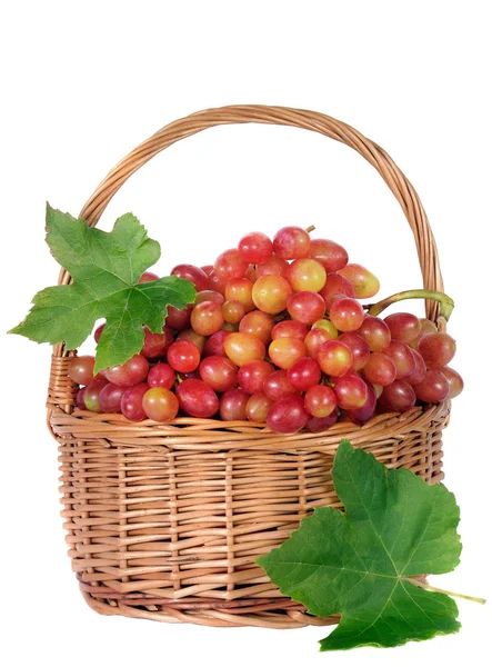 Raisins Dans Panier Osier Isolé Sur Blanc — Photo