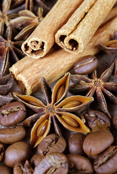 yıldız anason, tarçın ve kavrulmuş kahve çekirdekleri. kavrulmuş kahve ve baharatlar