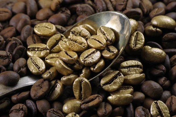 Gold coffee beans on a pile of coffee beans. The concept of luxury is extraordinary. Coffee beans in a spoon. Golden coffee beans texture background