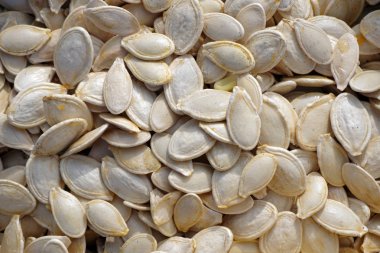 Taze kabak çekirdeği dokusu arka planı