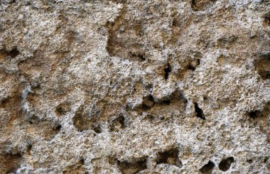 Kabuk kaya dokusu arka planı. Kabuk kaya yüzeyinin bir parçası. soyut tasarım 