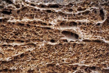 Kabuk kaya dokusu arka planı. Kabuk kaya yüzeyinin bir parçası. soyut tasarım 