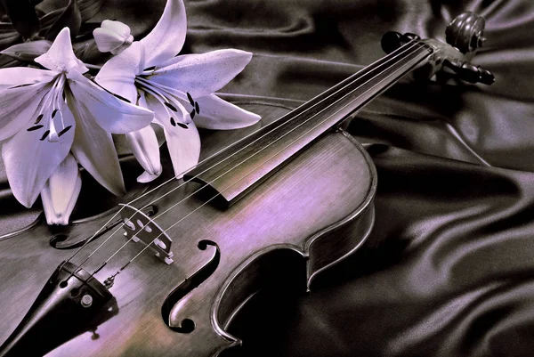 Violon Fleurs Violon Lys Sur Fond Soie — Photo