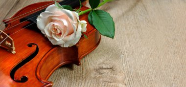 Keman ve krema ahşap bir masada yükseldi. Boşluğu kopyala