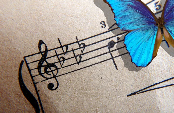 ブルース音楽の概念です 音楽ノート トレブル クリフ 接近中だ メロディーのコンセプト 楽譜の背景にある青い蝶です 選択的焦点 — ストック写真