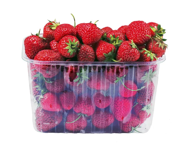 Rote Reife Erdbeeren Einem Plastikbehälter Kopierraum — Stockfoto