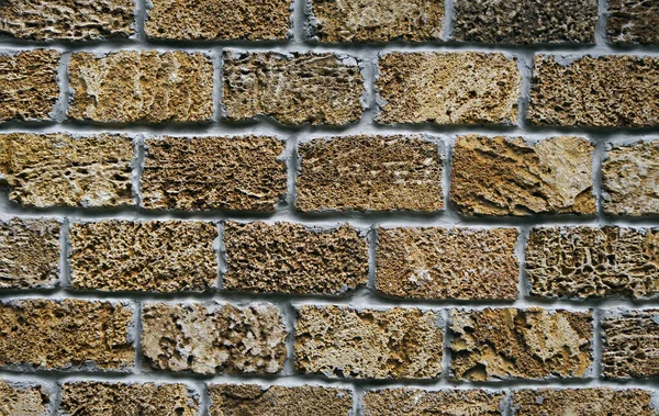 Stěna Shell Kamení Bloky Textury Pozadí Vápenec — Stock fotografie