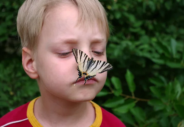 Baby Und Schmetterling Schöner Schwalbenschwanz Schmetterling Auf Der Nase Eines — Stockfoto