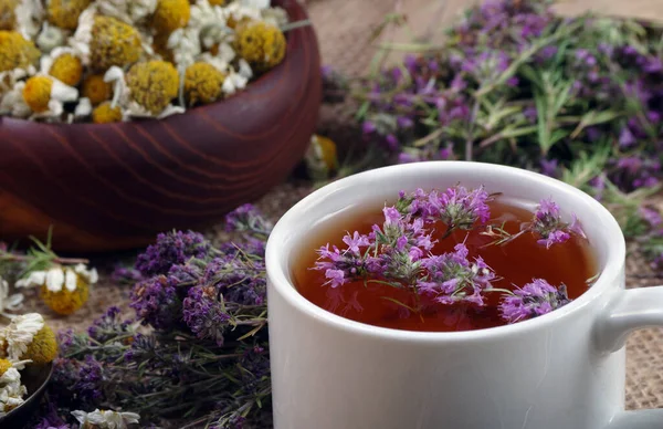 Heilkräuter Sommer Frische Thymianblüten Und Getrocknete Kamillenblüten Auf Einem Holztisch — Stockfoto