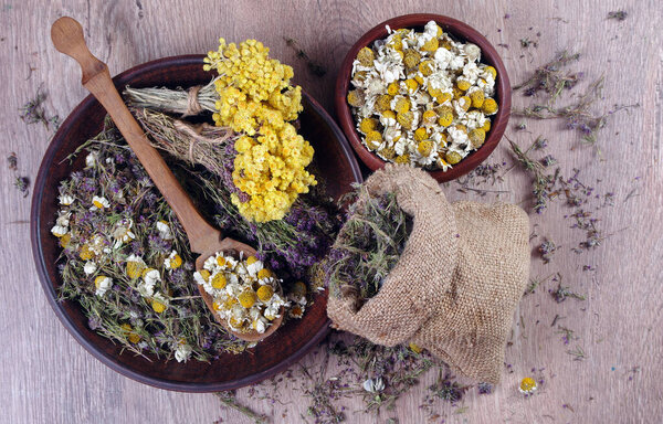 summer medical herbs. cup of thyme tea, dried chamomile and immortelle flowers and echinacea flowers on a wooden table