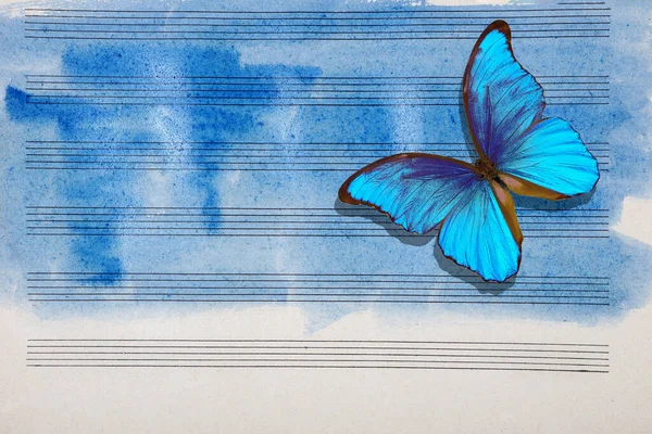 Papillons Notes Bleu Morpho Mélodie Papillon Ancienne Partition Aquarelle Bleue — Photo