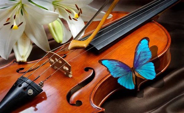 Élénk Kék Morfó Pillangó Hegedű Hegedű Liliom Selyem Alapon Közelről — Stock Fotó