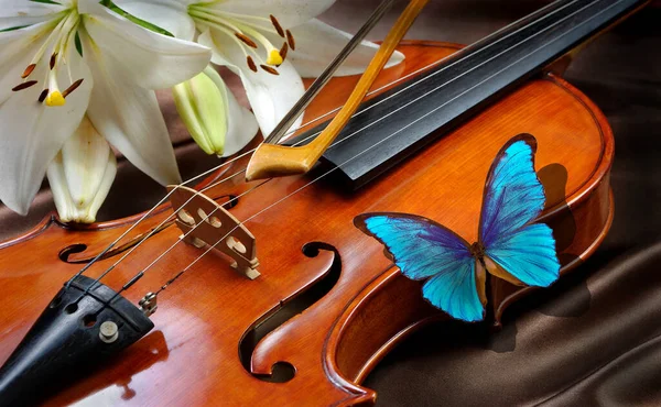 Papillon Violon Morpho Bleu Vif Violon Lys Sur Fond Soie — Photo