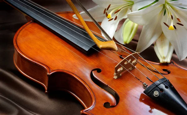 Violin Lily Silk Background Close — Stock Photo, Image